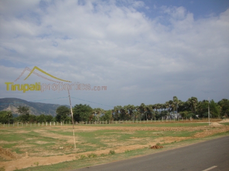 2) Ventures in Yerpedu - Venkatagiri Highway Road.JPG